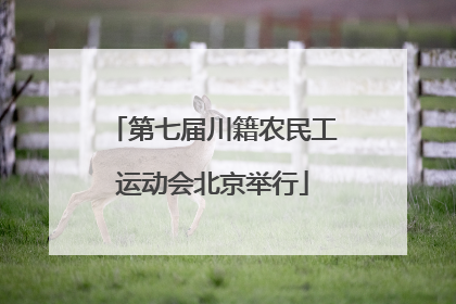 第七届川籍农民工运动会北京举行