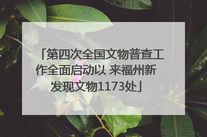 第四次全国文物普查工作全面启动以 来福州新发现文物1173处