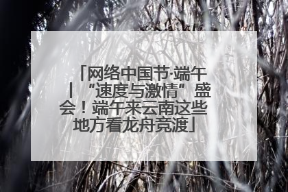 网络中国节·端午丨“速度与激情”盛会！端午来云南这些地方看龙舟竞渡