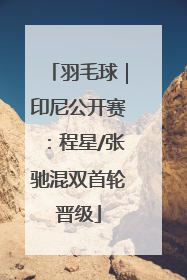 羽毛球｜印尼公开赛：程星/张驰混双首轮晋级