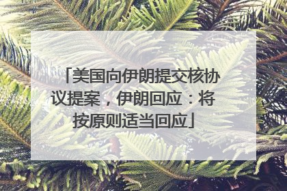 美国向伊朗提交核协议提案，伊朗回应：将按原则适当回应