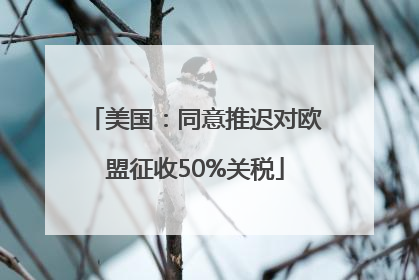 美国：同意推迟对欧盟征收50%关税