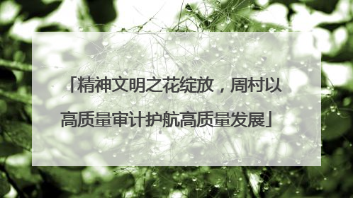 精神文明之花绽放，周村以高质量审计护航高质量发展