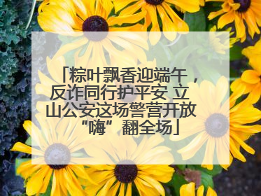 粽叶飘香迎端午，反诈同行护平安 立山公安这场警营开放“嗨”翻全场