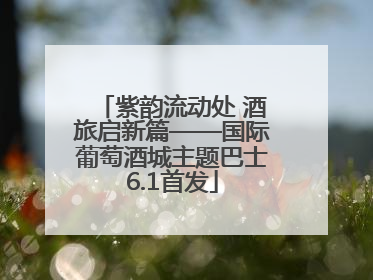 紫韵流动处 酒旅启新篇——国际葡萄酒城主题巴士6.1首发