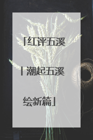 红评五溪丨潮起五溪绘新篇