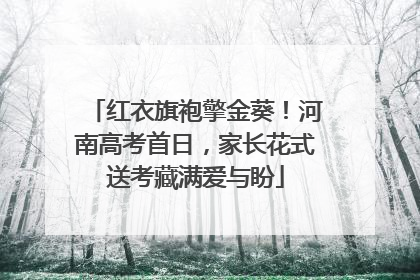 红衣旗袍擎金葵！河南高考首日，家长花式送考藏满爱与盼