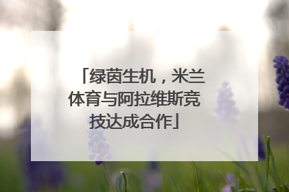 绿茵生机，米兰体育与阿拉维斯竞技达成合作