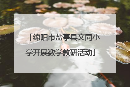 绵阳市盐亭县文同小学开展数学教研活动