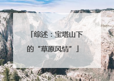 综述：宝塔山下的“草原风情”