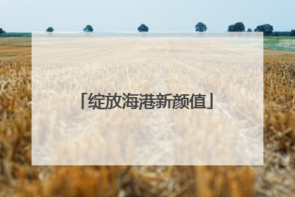 绽放海港新颜值