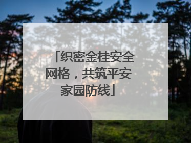 织密金桂安全网格，共筑平安家园防线