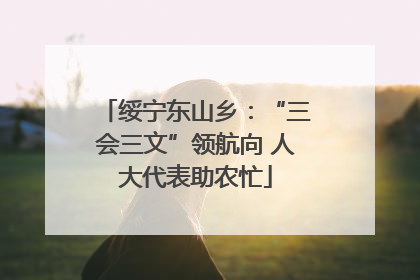 绥宁东山乡：“三会三文”领航向 人大代表助农忙