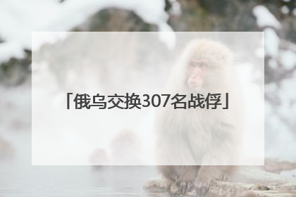 俄乌交换307名战俘