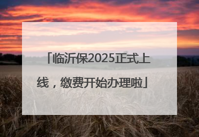 临沂保2025正式上线，缴费开始办理啦