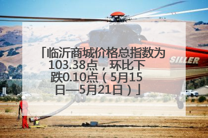临沂商城价格总指数为103.38点，环比下跌0.10点（5月15日—5月21日）