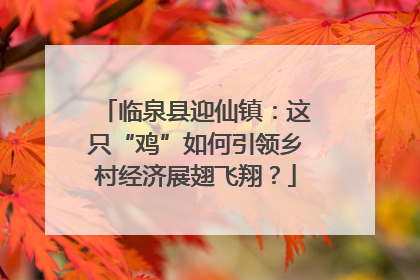 临泉县迎仙镇：这只“鸡”如何引领乡村经济展翅飞翔？