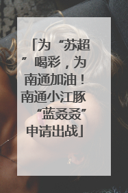 为“苏超”喝彩，为南通加油！南通小江豚“蓝叒叒”申请出战