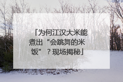 为何江汉大米能煮出“会跳舞的米饭”？现场揭秘