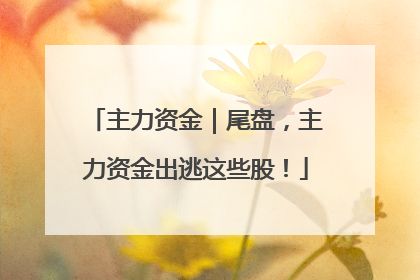 主力资金｜尾盘，主力资金出逃这些股！
