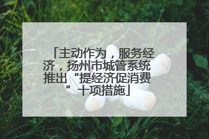 主动作为，服务经济，扬州市城管系统推出“提经济促消费”十项措施