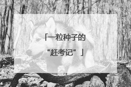 一粒种子的“赶考记”