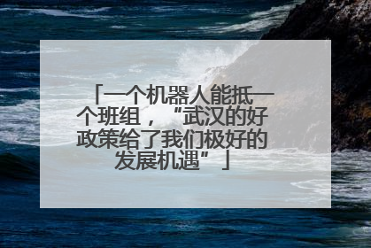一个机器人能抵一个班组，“武汉的好政策给了我们极好的发展机遇”