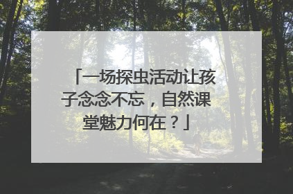 一场探虫活动让孩子念念不忘，自然课堂魅力何在？
