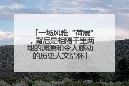 一场风雅“荷展”，背后是相隔千里两地的渊源和令人感动的历史人文情怀