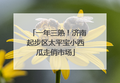 一年三熟！济南起步区太平宝小西瓜走俏市场