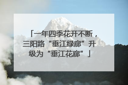 一年四季花开不断，三阳路“垂江绿廊”升级为“垂江花廊”