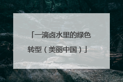 一滴卤水里的绿色转型（美丽中国）