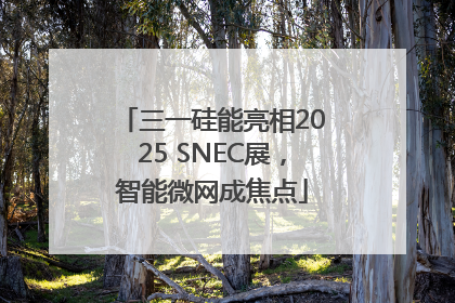 三一硅能亮相2025 SNEC展，智能微网成焦点