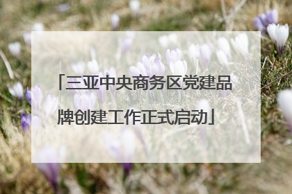 三亚中央商务区党建品牌创建工作正式启动