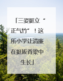三姿挺立“正气竹”！这所小学让清廉在挺拔脊梁中生长