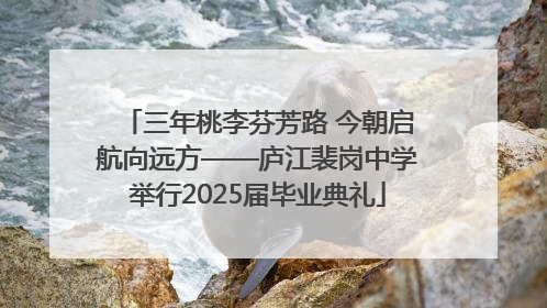三年桃李芬芳路 今朝启航向远方——庐江裴岗中学举行2025届毕业典礼