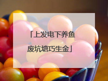 上发电下养鱼 废坑塘巧生金