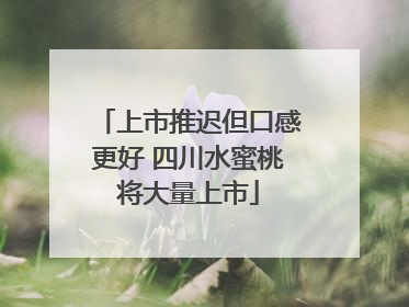 上市推迟但口感更好 四川水蜜桃将大量上市