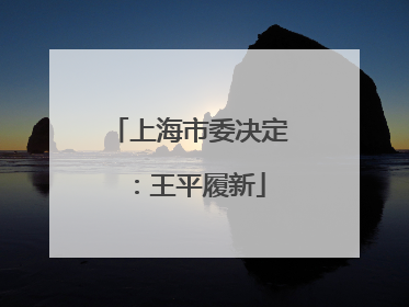 上海市委决定：王平履新