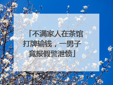 不满家人在茶馆打牌输钱，一男子竟报假警泄愤