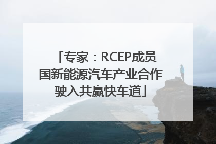 专家：RCEP成员国新能源汽车产业合作驶入共赢快车道