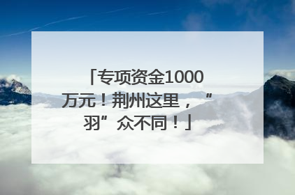 专项资金1000万元！荆州这里，“羽”众不同！