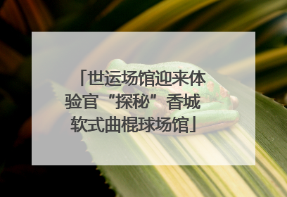 世运场馆迎来体验官“探秘”香城软式曲棍球场馆