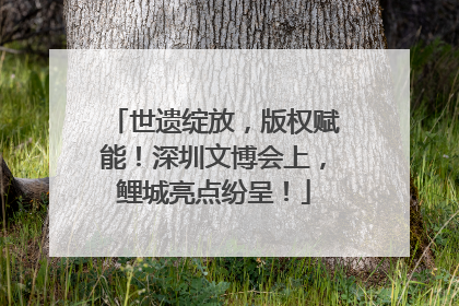 世遗绽放，版权赋能！深圳文博会上，鲤城亮点纷呈！