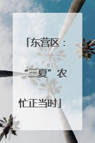 东营区：“三夏”农忙正当时