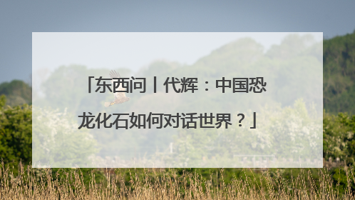东西问丨代辉：中国恐龙化石如何对话世界？