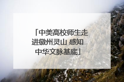 中美高校师生走进徽州灵山 感知中华文脉基底