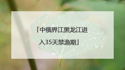 中俄界江黑龙江进入35天禁渔期