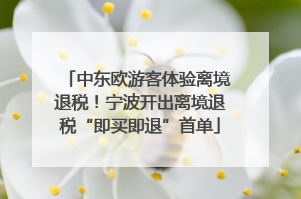 中东欧游客体验离境退税！宁波开出离境退税“即买即退”首单