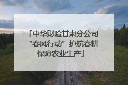 中华财险甘肃分公司“春风行动”护航春耕 保障农业生产